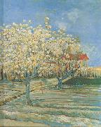 Vincent Van Gogh Orchard in Blossom (nn04) Germany oil painting reproduction